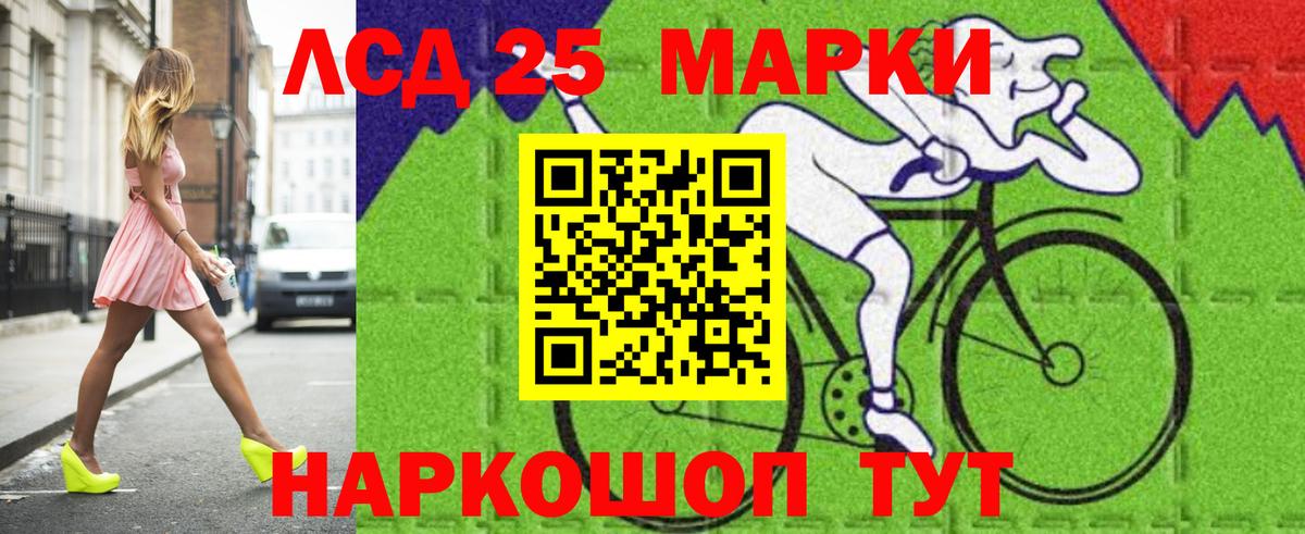 МЕФ Моздок