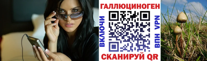 Псилоцибиновые грибы мицелий  Моздок 