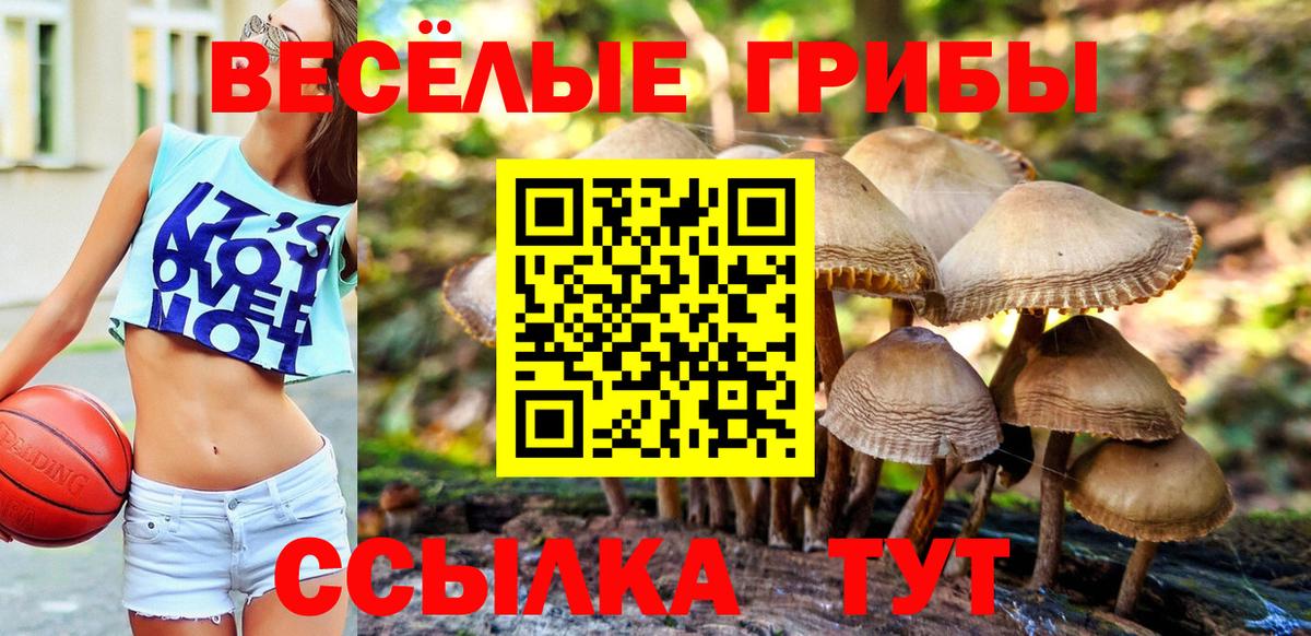 Моздок  Галлюциногенные грибы GOLDEN TEACHER  Вход с VPN 