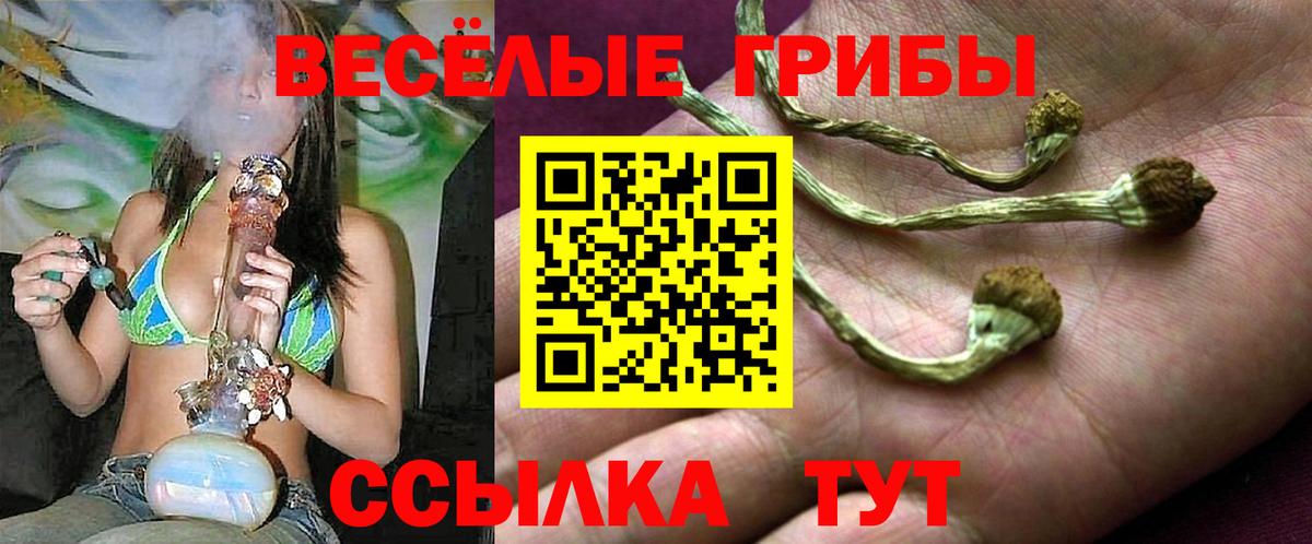 Псилоцибиновые грибы MAGIC MUSHROOMS  Псилоцибиновые грибы MAGIC MUSHROOMS  Вход с VPN  купить наркотик  Моздок 